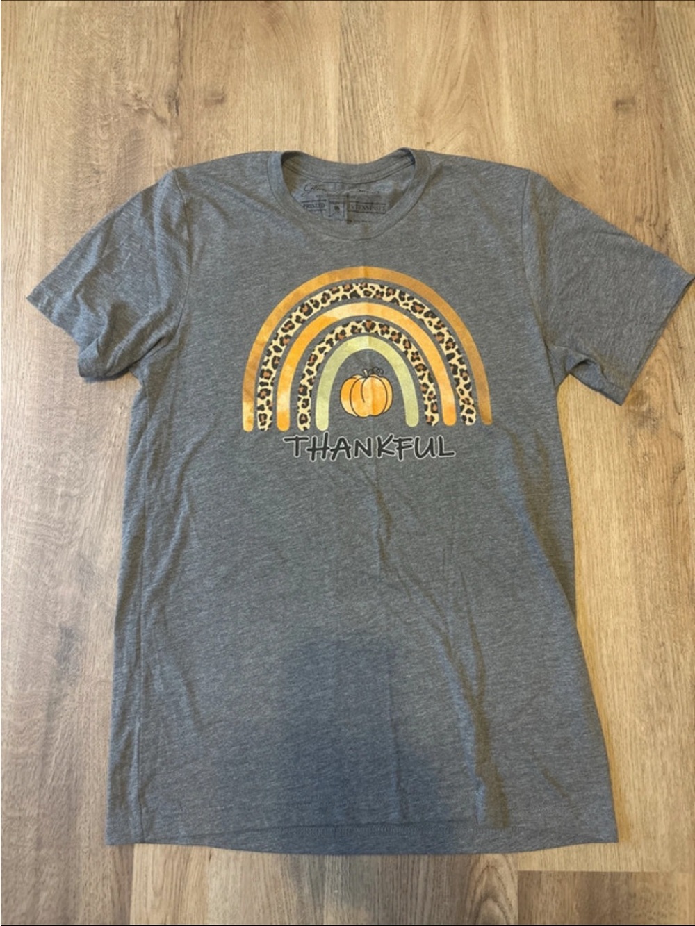Thankful Pumpkin Rainbow Tee